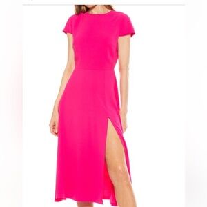 Alexia Admor Magenta Dress
